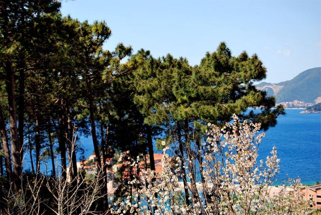 Villa Nikola Kentera Sveti Stefan Zewnętrze zdjęcie