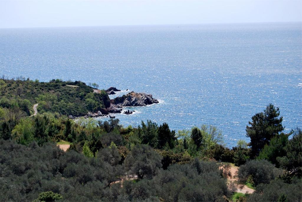 Villa Nikola Kentera Sveti Stefan Zewnętrze zdjęcie